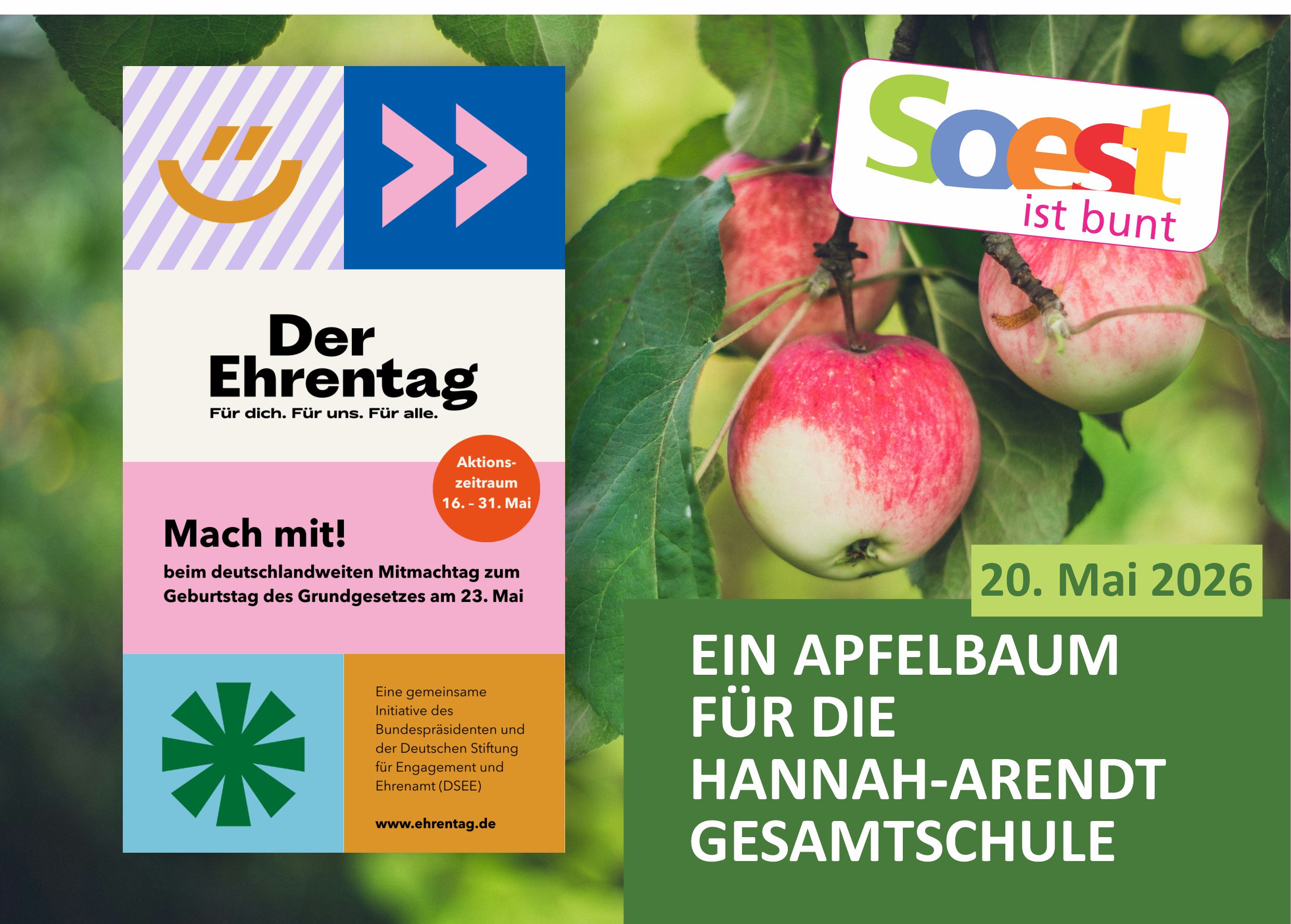 Mehr über den Artikel erfahren Korbiniansapfelbaum für die Hannah-Arendt-Gesamtschule